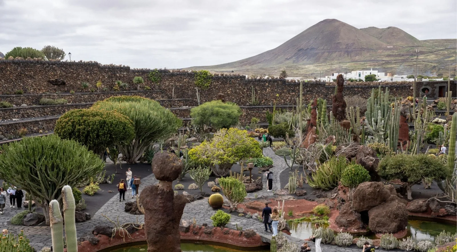 The Jardín de Cactus terraces in a former quarry, a volcanic cone rising behind